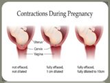 What are Labor Contractions