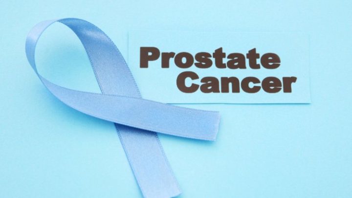 Getting a better understanding of the prostate and prostate cancer