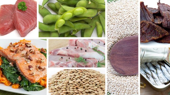 Top 5 high protein foods