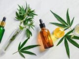 Full spectrum explanation - what you need to know about CBD Tincure