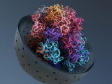 Researchers use algorithmic approaches to understand how cancer changes histone markers
